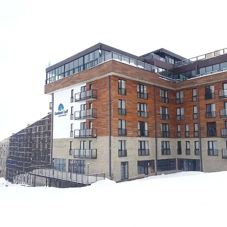 Gudauri Loft Apartment N510 Exterior photo
