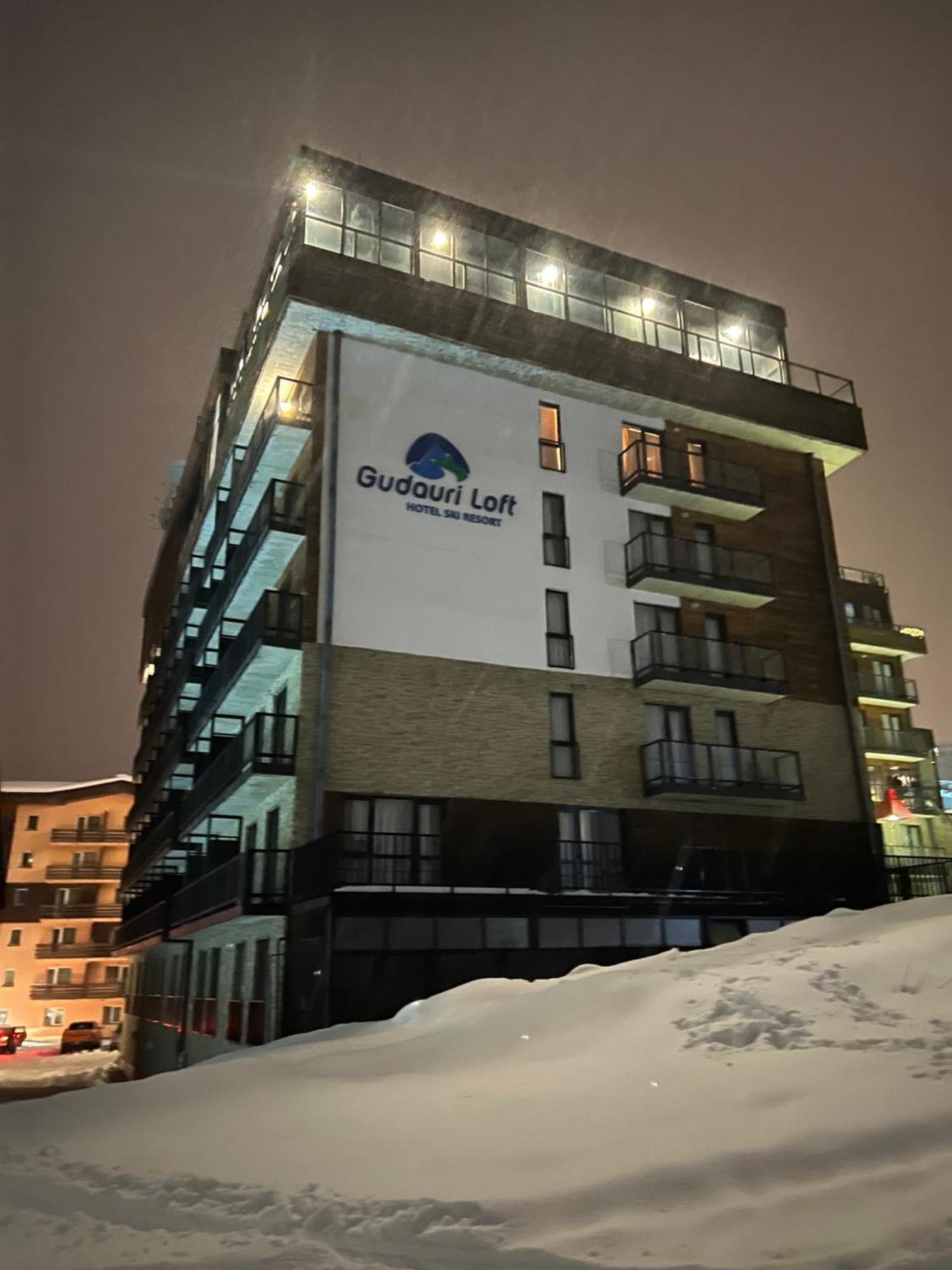 Apartment Loft N510
